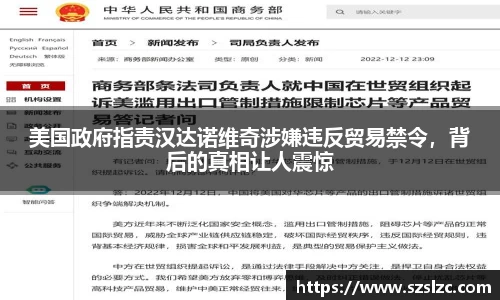 美国政府指责汉达诺维奇涉嫌违反贸易禁令，背后的真相让人震惊
