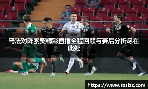 leyu乐鱼体育