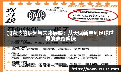 加克波的崛起与未来展望：从天赋新星到足球世界的璀璨明珠