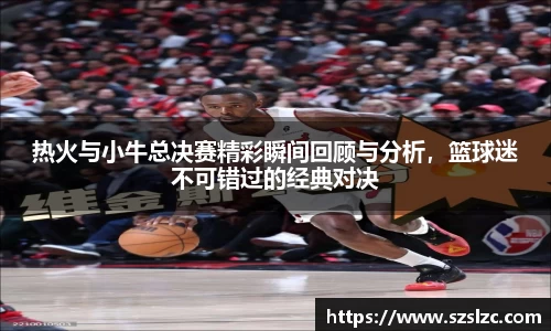热火与小牛总决赛精彩瞬间回顾与分析，篮球迷不可错过的经典对决